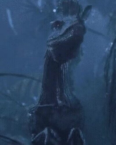 Enlace a Cuando le dices al cliente que entra por la puerta que la tienda está cerrada