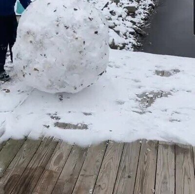 Enlace a Empujando una bola de nieve hacia el agua