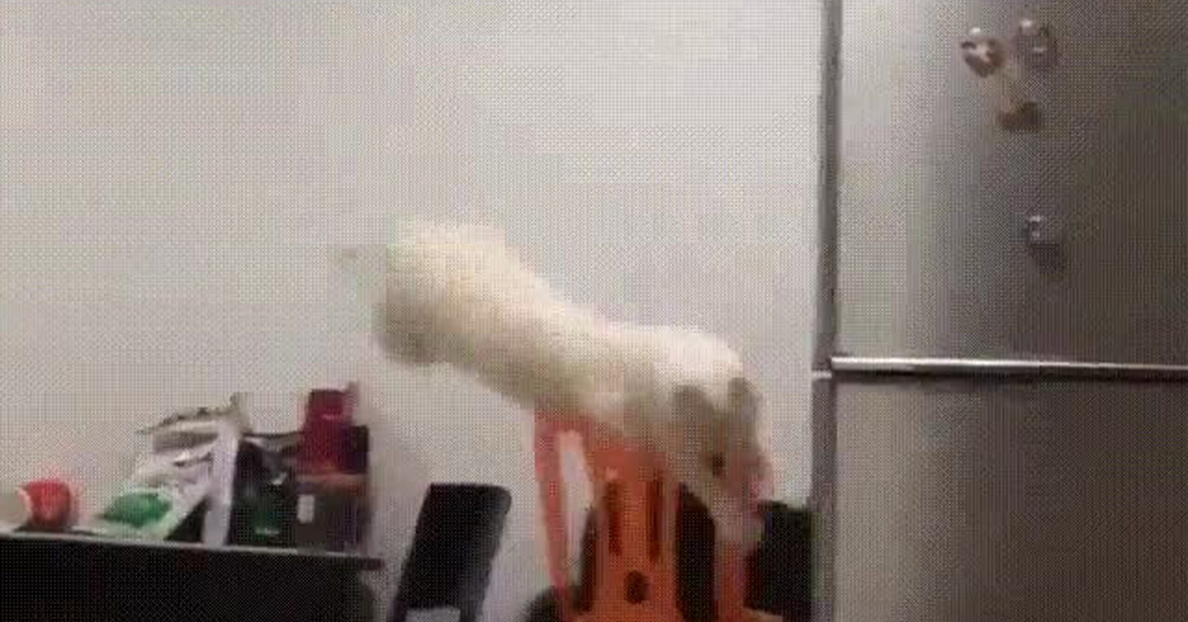 ¡Vaya GIF! / Un pequeño error de cálculo