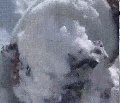 Enlace a Un perro que adora la temporada de nieve
