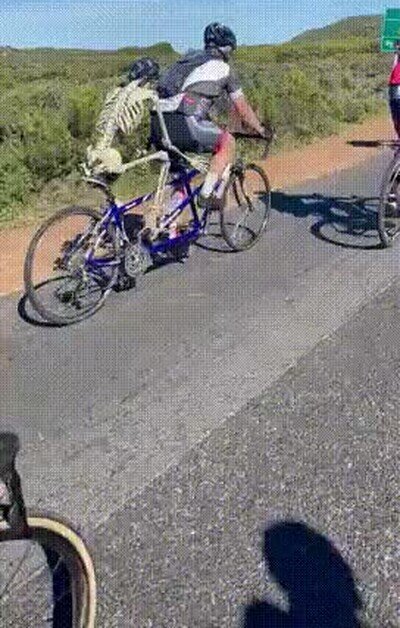 Enlace a Buen compañero de bici