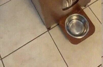 Enlace a Un dispensador de comida para tu mascota