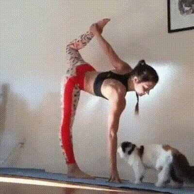 gato,humana,postura