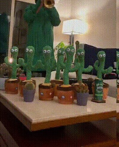 Enlace a Un coro de cactus bailando una canción