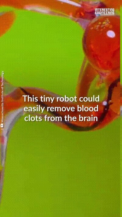 Enlace a El robot más pequeño del mundo