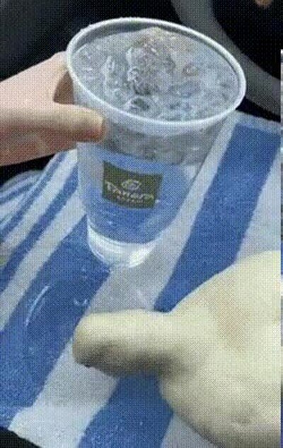 Enlace a Un pato adorable bebiendo agua