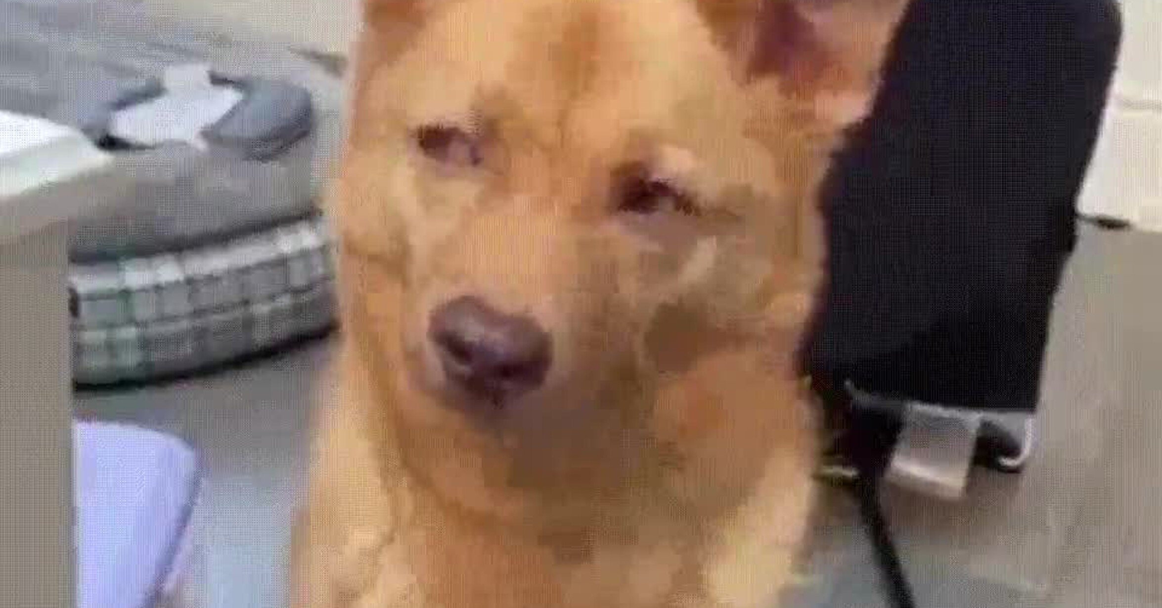 ¡Vaya GIF! / Me da un mal rollo increíble