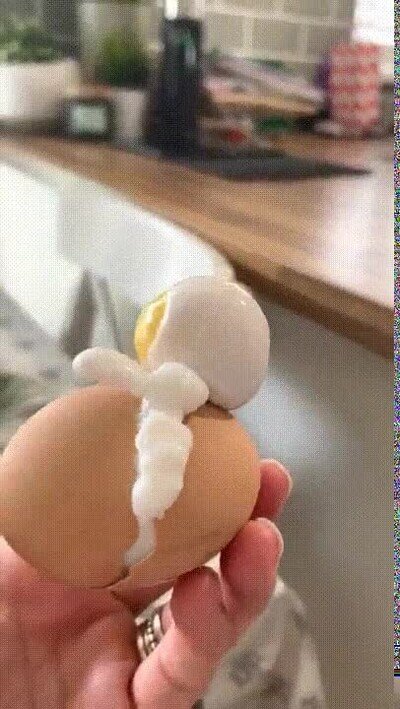 Enlace a Un huevo que parece salir a saludar como un astronauta