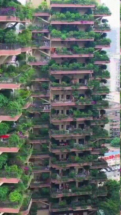 Enlace a Los edificios de Chengdu son una pasada 
