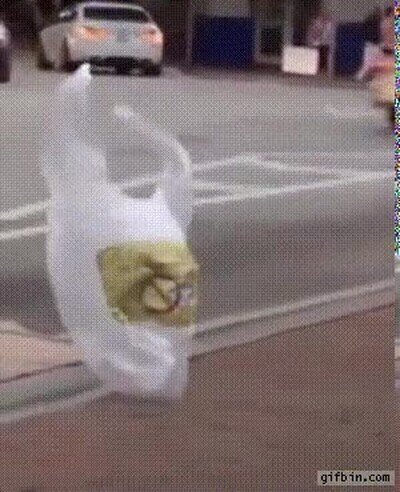 Enlace a Una bolsa de plástico intentando cruzar la calle