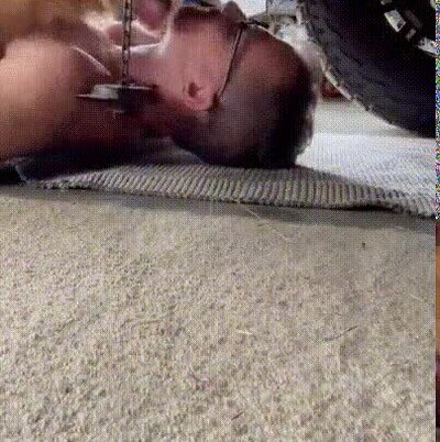 Mejor GIF de hace un año