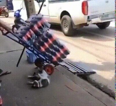 Mejor GIF de hace un año