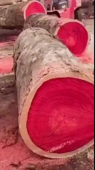 Enlace a ¿Habías visto alguna vez este tipo de madera?