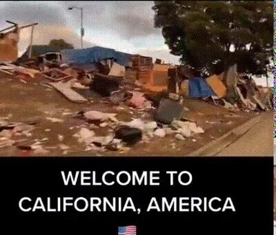 america,basura,california,porquería