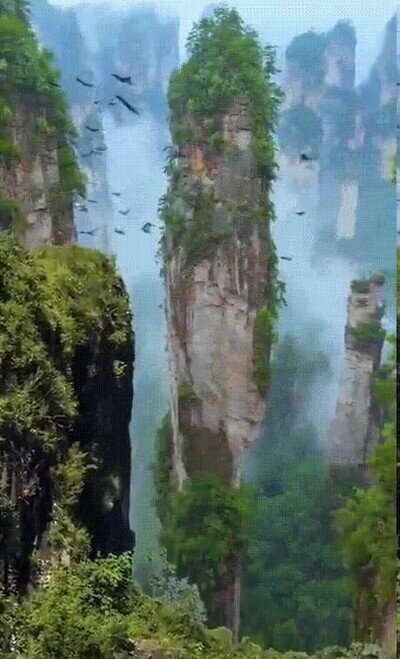 Enlace a No es Avatar, es el Parque Zhangjiajie National en China