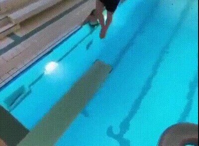Enlace a Saltando entre trampolínes de la piscina 