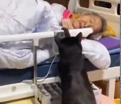 Enlace a El niño preferido de la abuelita le hace una visita al hospital