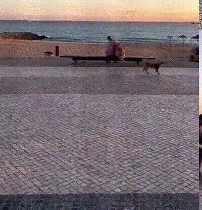 Un señor viendo la puesta de sol con su mejor amigo