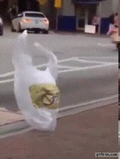 Enlace a Una bolsa fantasma cruzando la calle