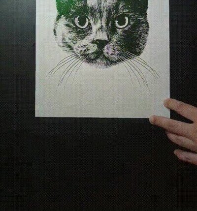 gato,arte