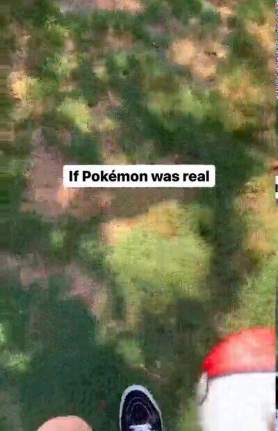 Enlace a Si los Pokémon existieran en la vida real