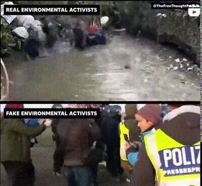 Enlace a Verdaderos vs falsos activistas medioambientales