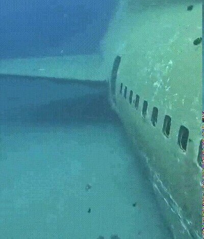 Enlace a Lo que mola nadar entre los restos de este avión del mar rojo
