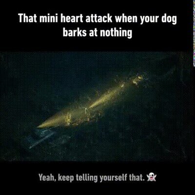 Enlace a Mini ataque al corazón cuando ves a tu perro ladrando a nada
