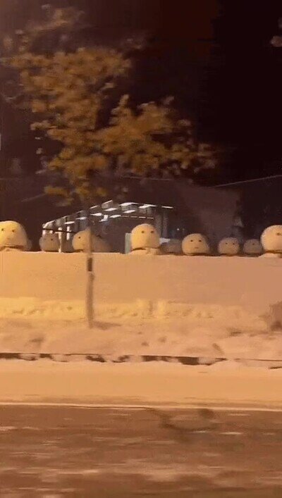Enlace a Un ejército de muñecos de nieve