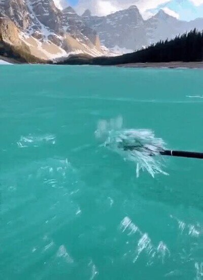 Enlace a Haciendo canoa a través de un mar de hielo