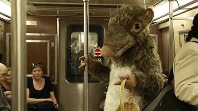 metro,nueva york,rata