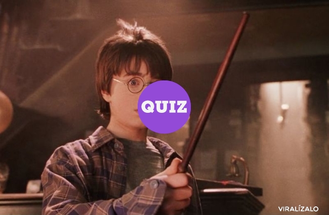 6798 - TEST: ¿Qué tipo de varita tendrías en el mundo de Harry Potter?