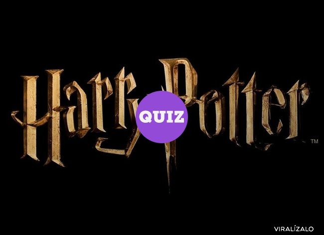 19288 - ENCUESTA: ¿Qué preferirías en la saga Harry Potter?