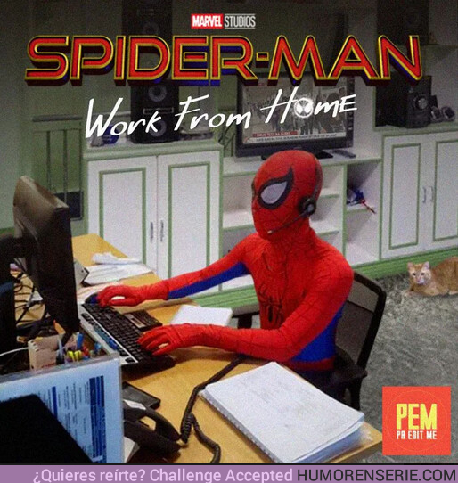 39753 - Spider-man: Trabajando desde casa