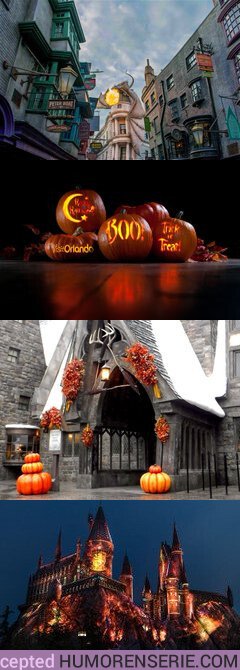 42726 - Haría lo que fuera por pasar la noche de Halloween en este parque temático de Harry Potter