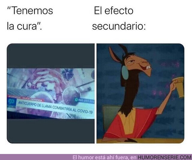 HES_52824_dd05c836ff664fc4a320d56028df7a77_cine_el_anticuerpo_de_llama.jpg