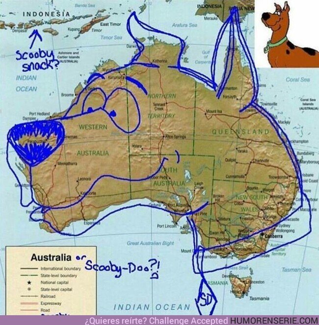 79227 - ¿Es Australia la tierra de Scooby Doo? 