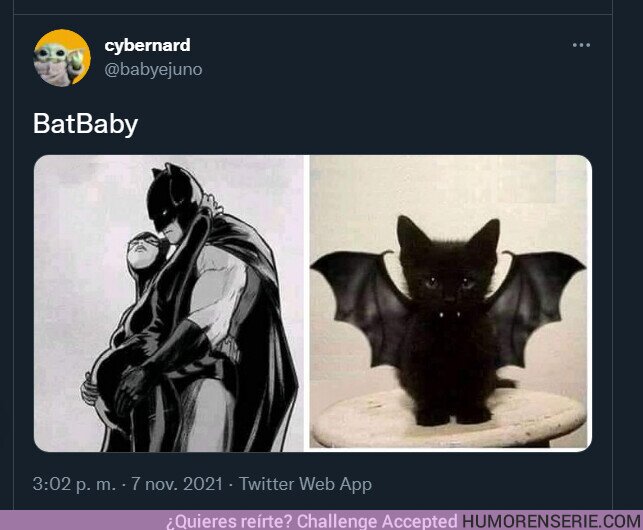 84079 - Si Batman y Catwoman tuvieran un bebé
