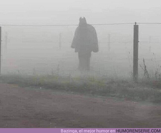 86351 - Podría ser un caballo con una manta en una mañana con niebla. O podría ser Batman