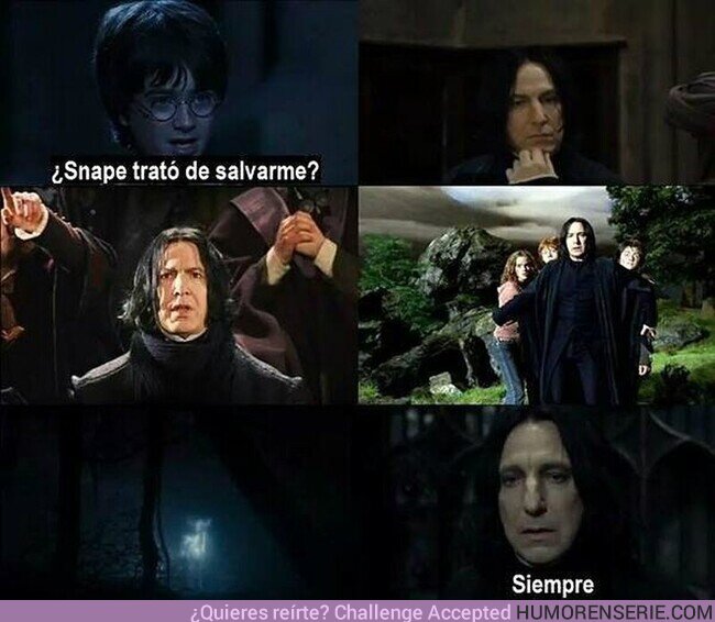 87287 - Snape, el verdadero héroe