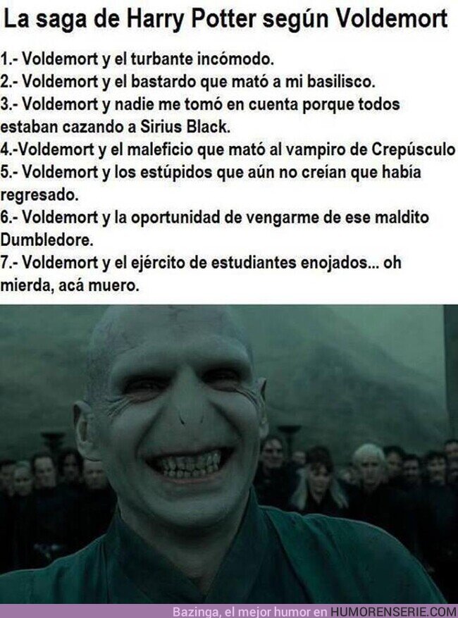 90624 - La saga de Harry Potter según Voldemort 
