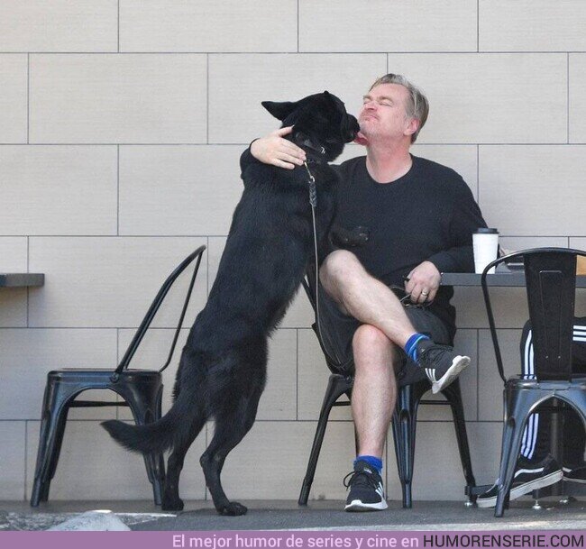 91385 - Amaos como este perro quiere a Christopher Nolan