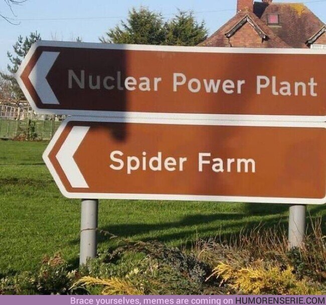 102152 - Así nació Spider-man