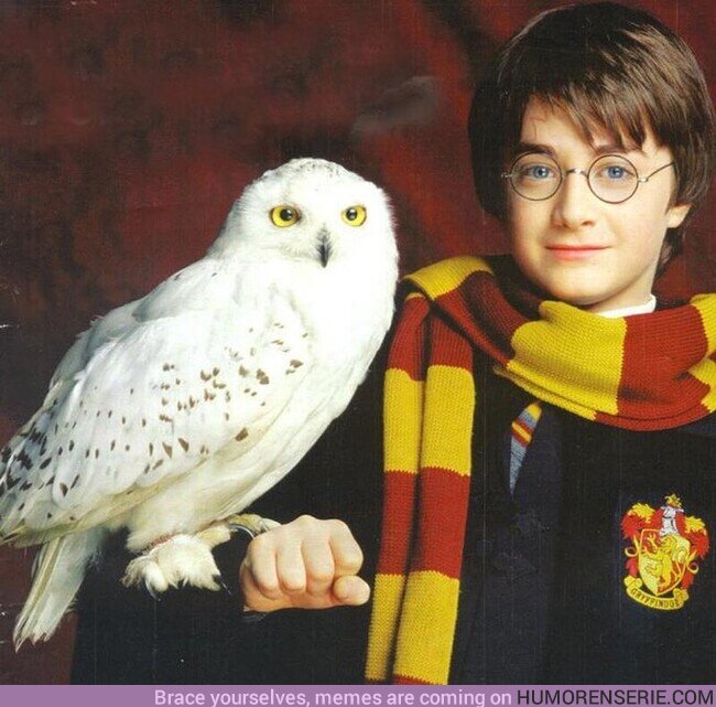 107665 - 6 de septiembre de 1991: Tal día como hoy, Hedwig le entrega su primera carta a Harry. Es de Hagrid, invitándole a visitarle en su cabaña.