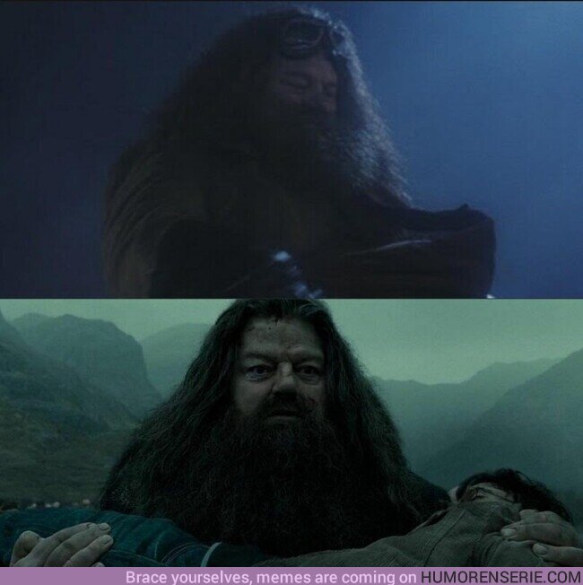 110508 - Hagrid fue quien rescató a Harry Potter para más tarde ser el que llevaría su cuerpo inerte de regreso a Hogwarts. Hoy es un día triste para el mundo mágico , por @ToIkienverse