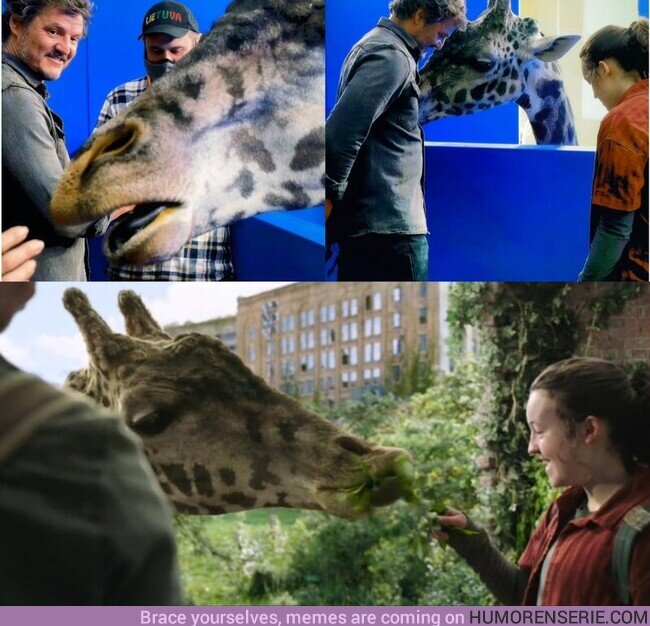 121307 - COMPLETAMENTE REAL Una jirafa verdadera fue utilizada para las filmaciones de la ICÓNICA escena del final de The Last Of Us, por @LevelUPcom