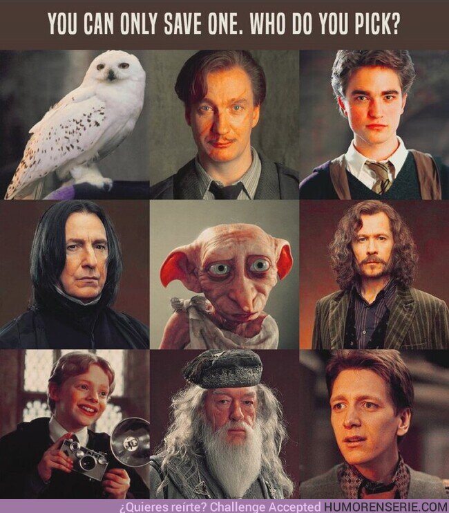 123013 - Solo puedes salvar a uno. ¿A quién salvarías?  , por @Harry_Potter_TM