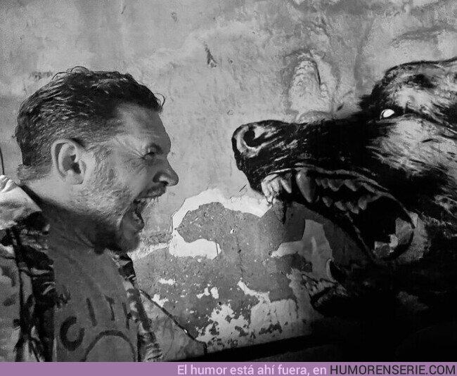 126458 - Tom Hardy comparte la primera imagen de 'Venom 3'.  , por @SitoCinema