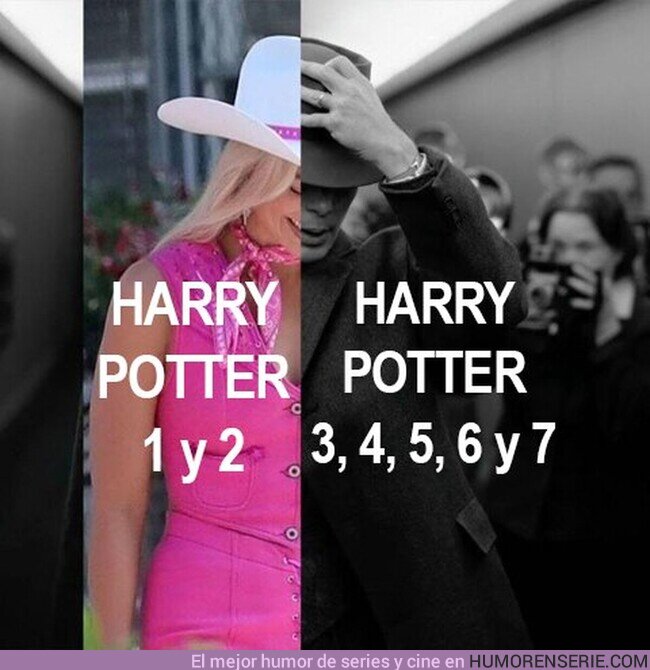 126806 - Resumen de la saga Harry Potter en una imagen.  , por @EiProfeta