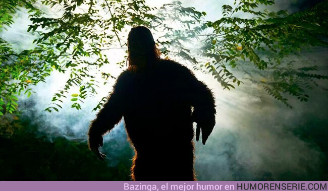 128605 - GALERÍA: Rescatan un vídeo con las mejores imágenes del Bigfoot jamás filmadas